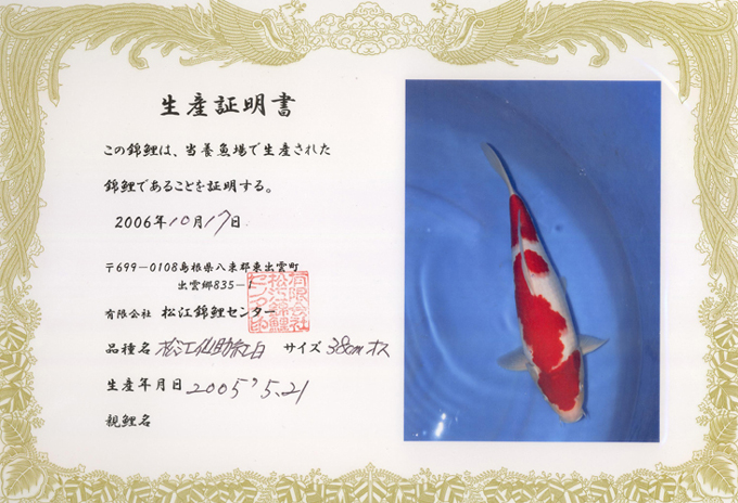 Sensuke Kohaku
