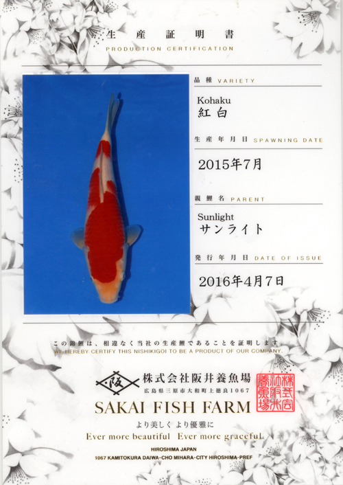 Sakai Growout