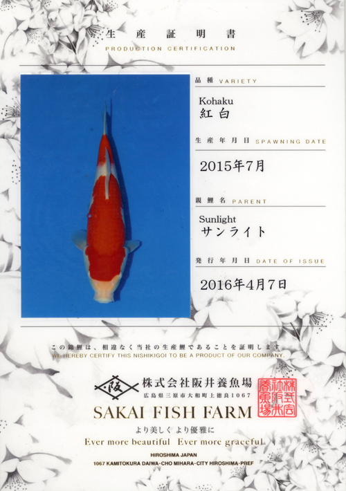 Sakai Growout