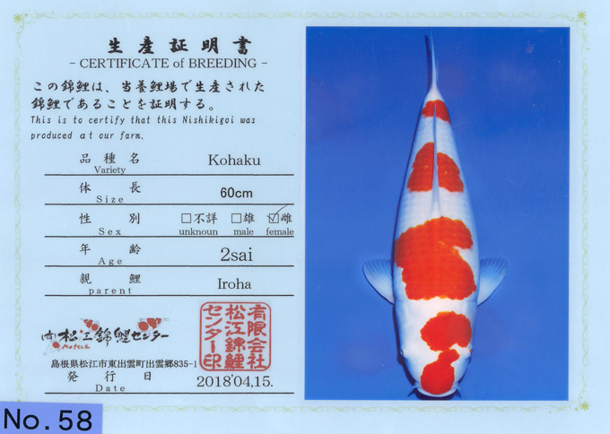 Matsue Kohaku